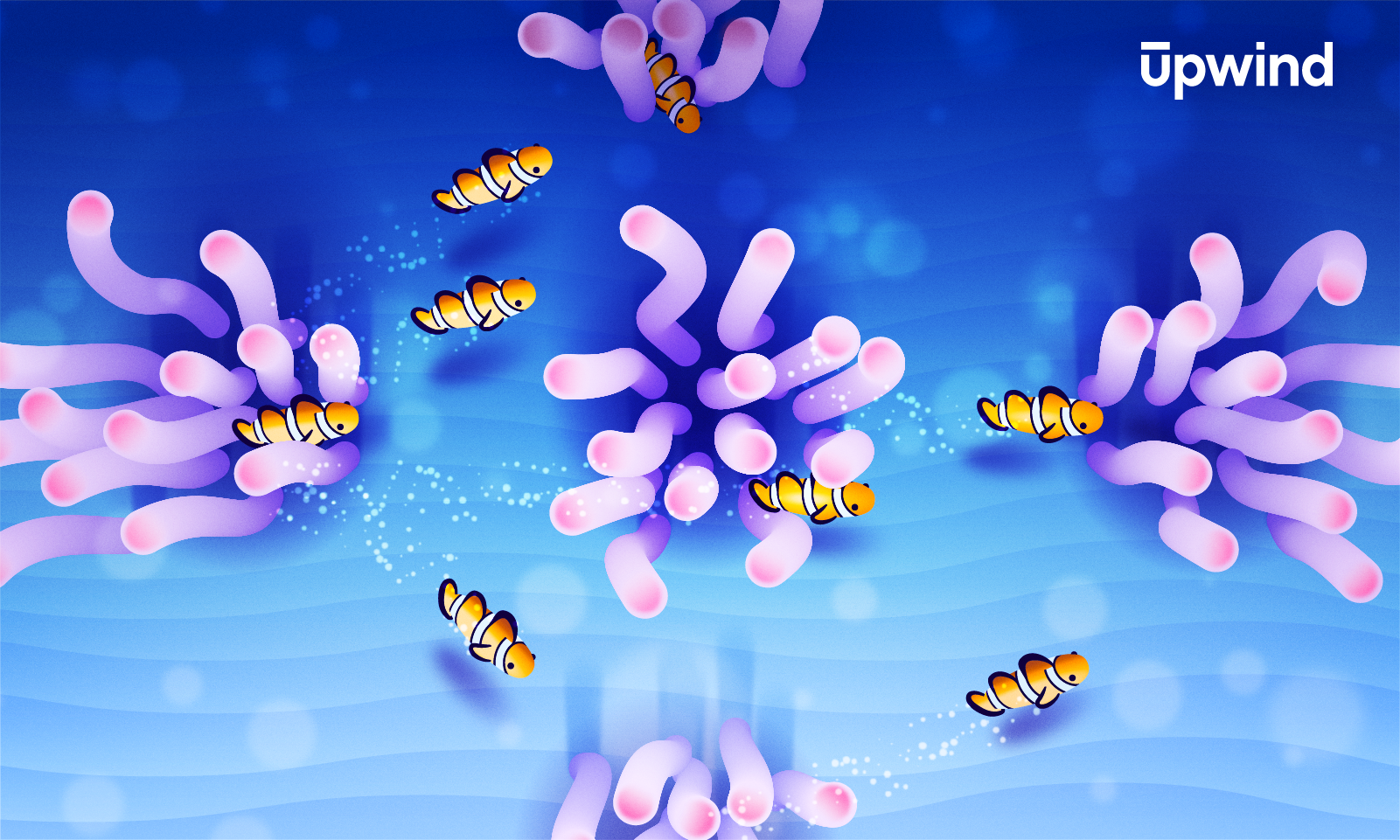 Colorful illustration of six clownfish swimming among purple sea anemones on a blue background with bubbles. The word Upwind is displayed in white text in the top right corner.