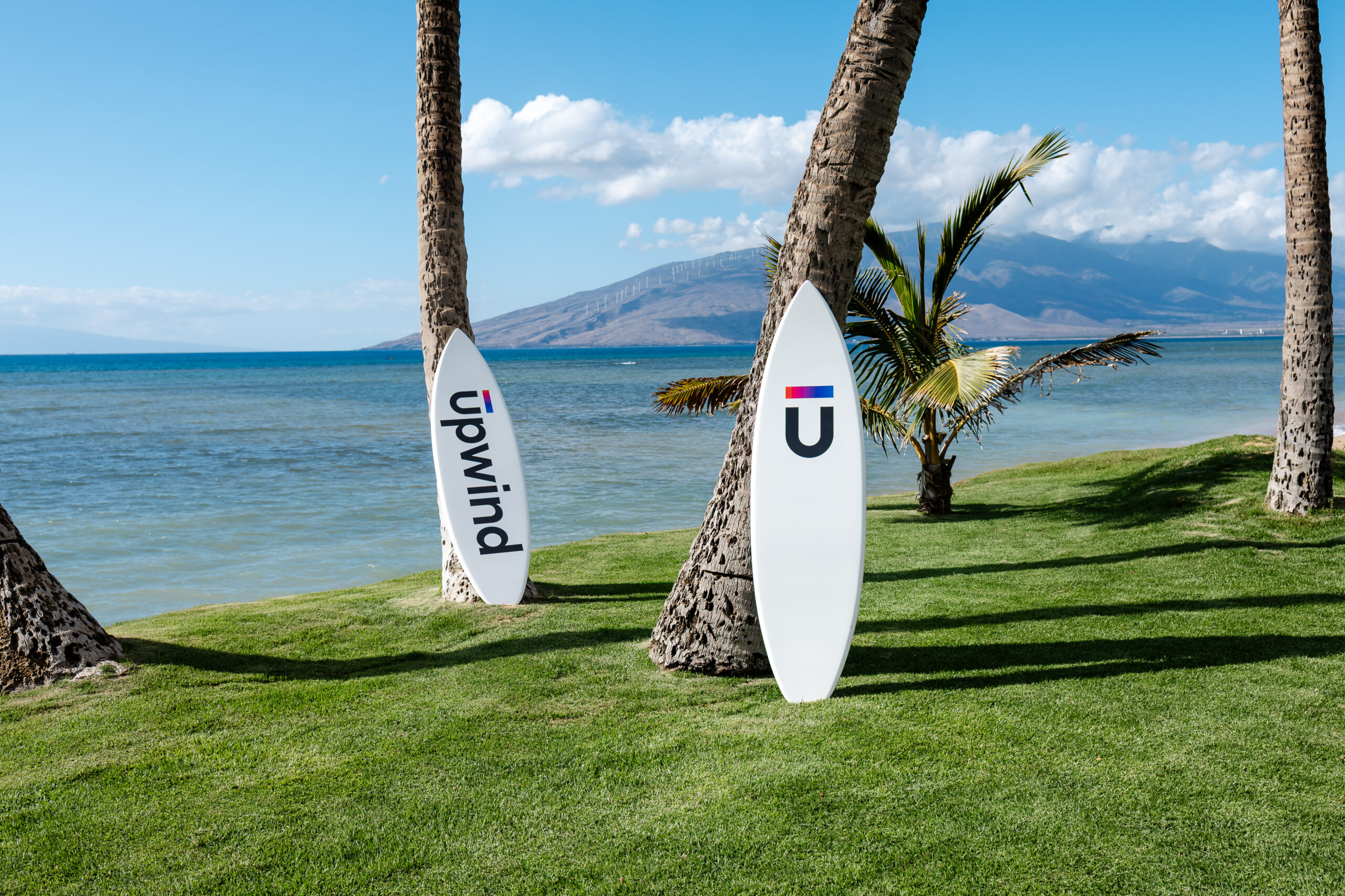 Upwind's surf board