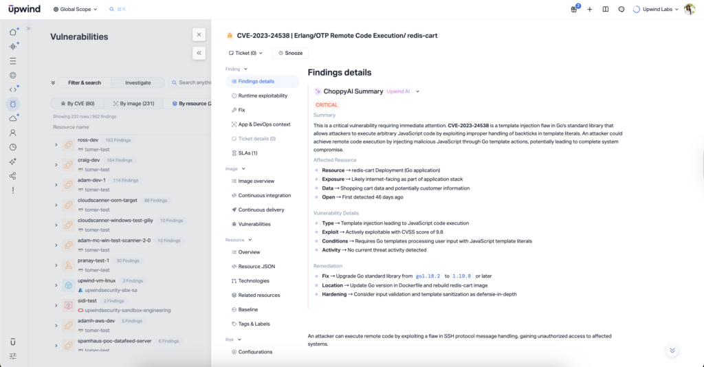 Choppy AI Summary Findings Details