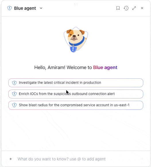 Blue Agent Investigation